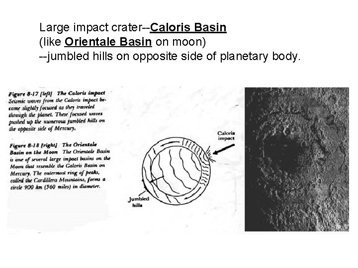 Large impact crater--Caloris Basin (like Orientale Basin on moon) --jumbled hills on opposite side