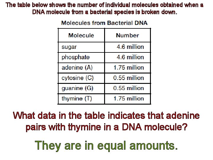 The table below shows the number of individual molecules obtained when a DNA molecule