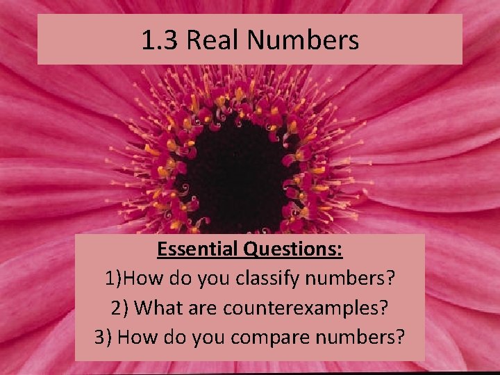1. 3 Real Numbers Essential Questions: 1)How do you classify numbers? 2) What are