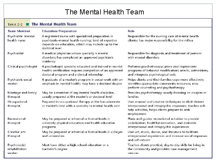 The Mental Health Team 