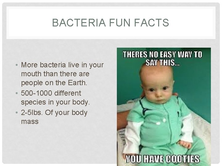 BACTERIA FUN FACTS • More bacteria live in your mouth than there are people