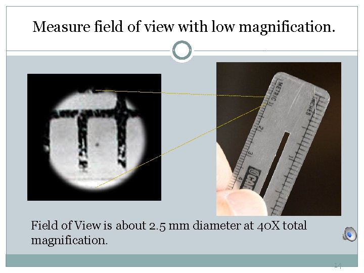 Measure field of view with low magnification. Field of View is about 2. 5 Measure field of view with low magnification. Field of View is about 2. 5