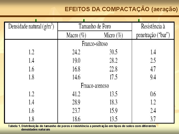 EFEITOS DA COMPACTAÇÃO (aeração) Diminui a proporção de macroporos Maior quantidade de poros ocupados