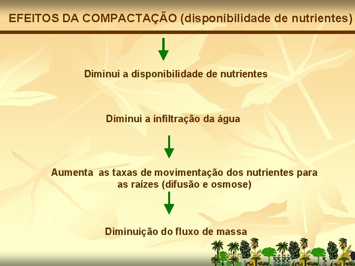 EFEITOS DA COMPACTAÇÃO (disponibilidade de nutrientes) Diminui a disponibilidade de nutrientes Diminui a infiltração
