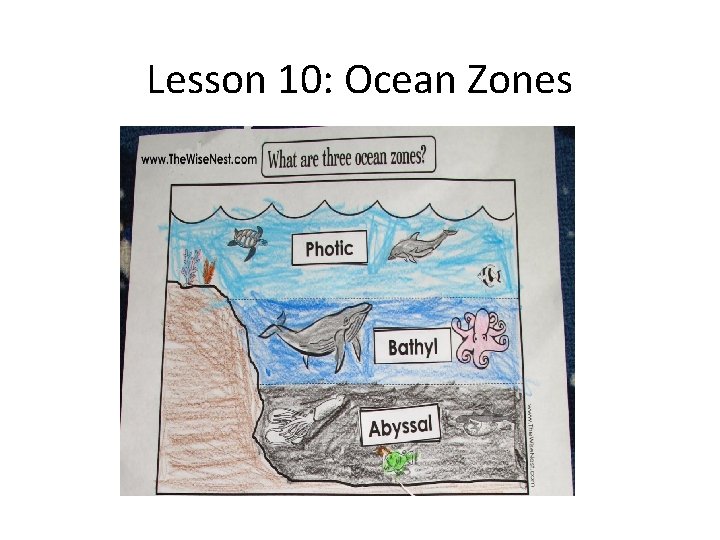 Lesson 10: Ocean Zones 