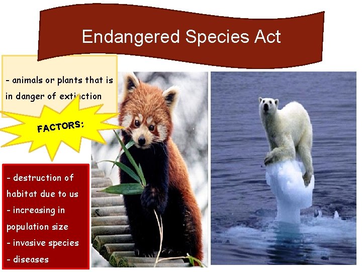 Endangered Species Act - animals or plants that is in danger of extinction :