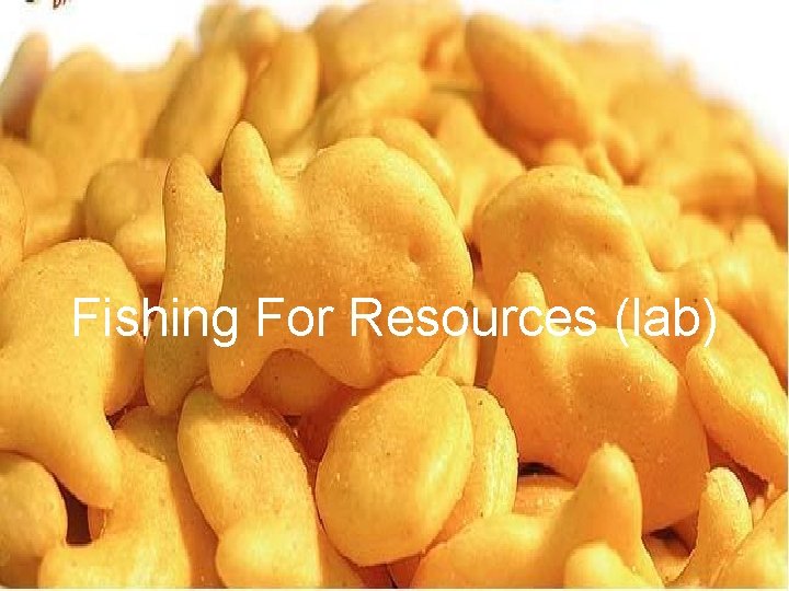 Fishing For Resources (lab) 