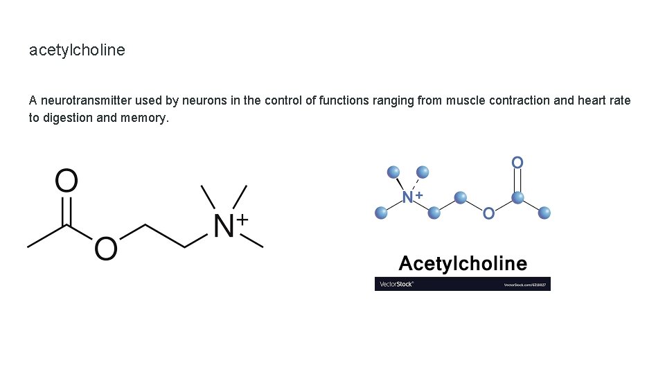 acetylcholine A neurotransmitter used by neurons in the control of functions ranging from muscle