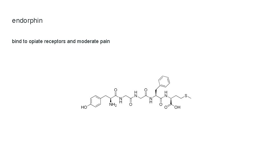 endorphin bind to opiate receptors and moderate pain 