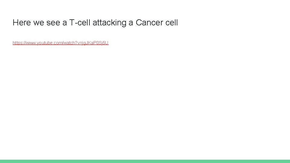 Here we see a T-cell attacking a Cancer cell https: //www. youtube. com/watch? v=jg.