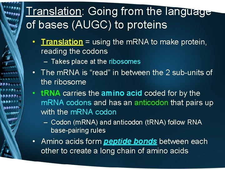 Translation: Going from the language of bases (AUGC) to proteins • Translation = using