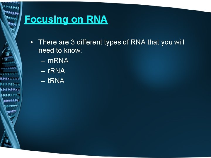 Focusing on RNA • There are 3 different types of RNA that you will