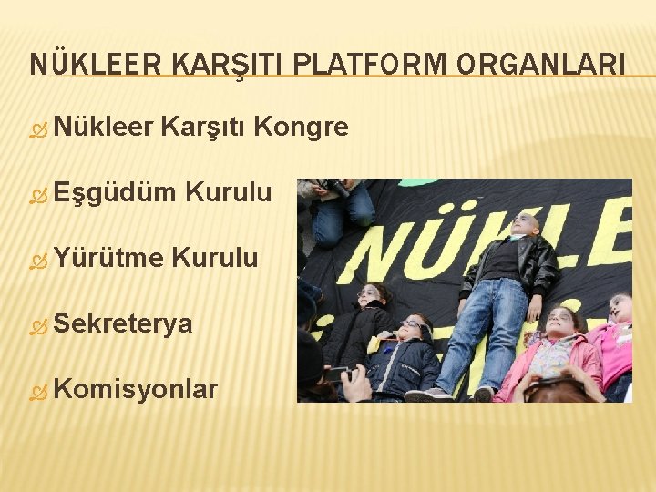 NÜKLEER KARŞITI PLATFORM ORGANLARI Nükleer Karşıtı Kongre Eşgüdüm Yürütme Kurulu Sekreterya Komisyonlar 