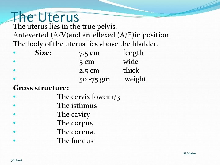 The Uterus The uterus lies in the true pelvis. Anteverted (A/V)and anteflexed (A/F)in position.