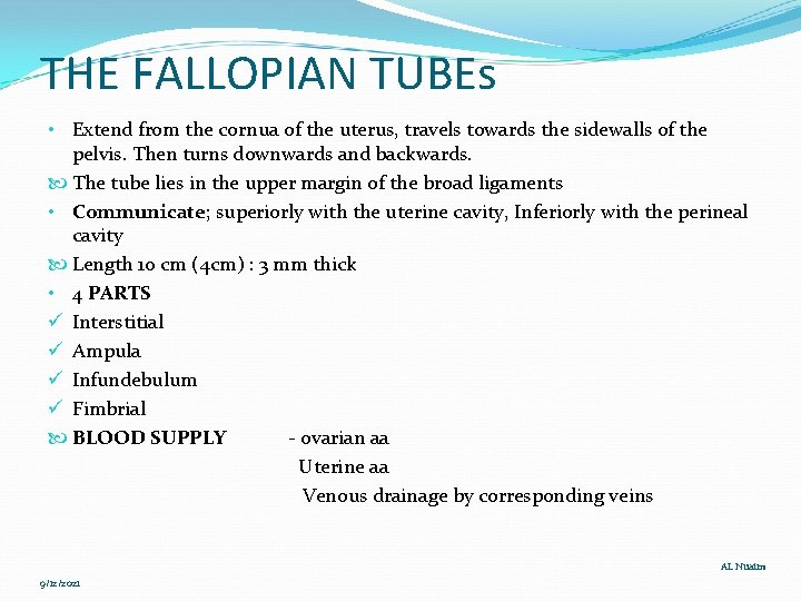 THE FALLOPIAN TUBEs • Extend from the cornua of the uterus, travels towards the