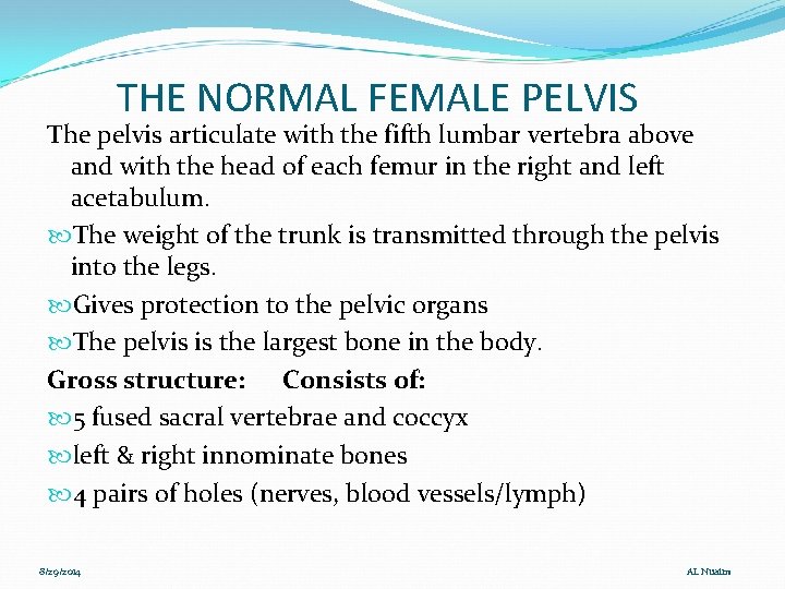 THE NORMAL FEMALE PELVIS The pelvis articulate with the fifth lumbar vertebra above and