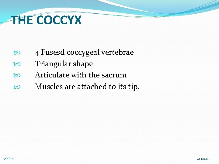 THE COCCYX 9/12/2021 4 Fusesd coccygeal vertebrae Triangular shape Articulate with the sacrum Muscles