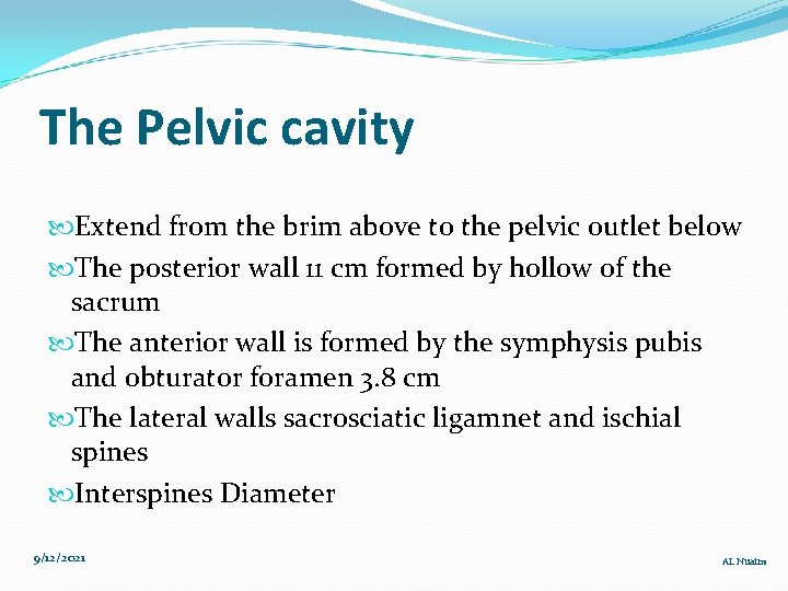 The Pelvic cavity Extend from the brim above to the pelvic outlet below The