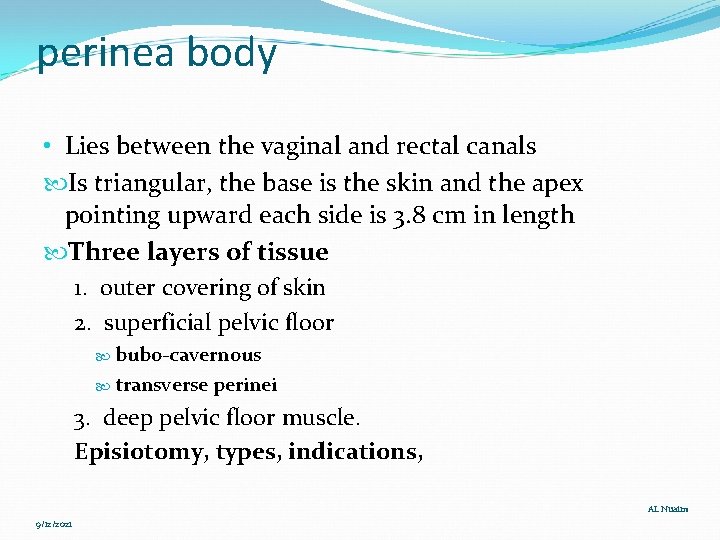 perinea body • Lies between the vaginal and rectal canals Is triangular, the base