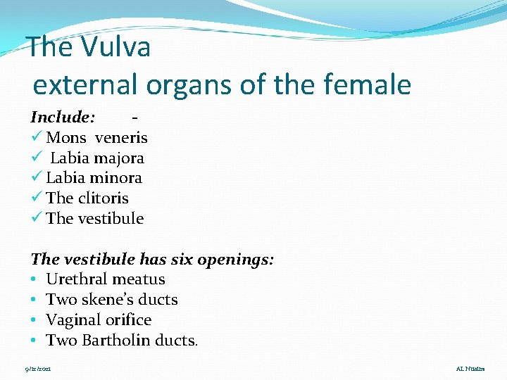 The Vulva external organs of the female Include: ü Mons veneris ü Labia majora
