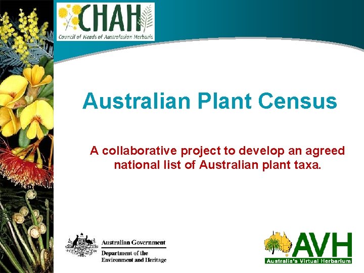 Replace this box with a picture? Just click : Australian Plant Census Insert Picture