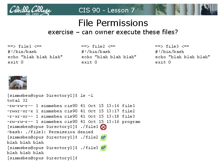 CIS 90 - Lesson 7 File Permissions exercise – can owner execute these files?