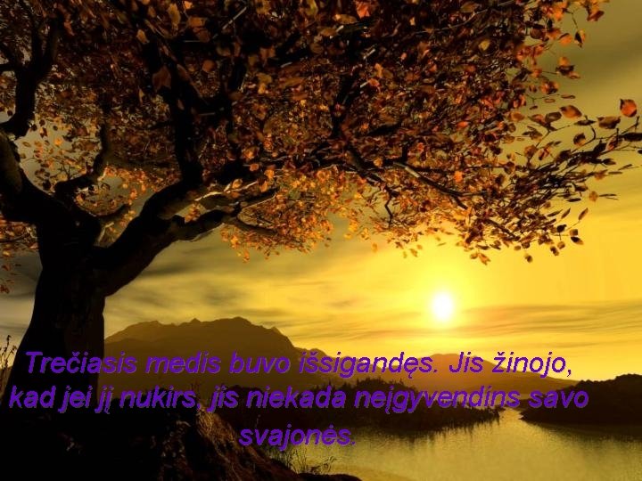 Trečiasis medis buvo išsigandęs. Jis žinojo, kad jei jį nukirs, jis niekada neįgyvendins savo