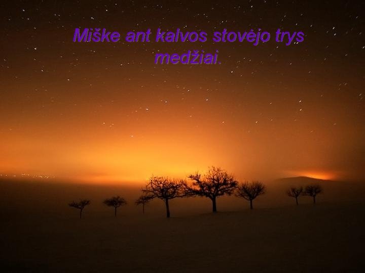 Miške ant kalvos stovėjo trys medžiai. 