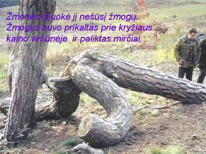 Žmonės išjuokė jį nešusį žmogų. Žmogus buvo prikaltas prie kryžiaus kalno viršūnėje ir paliktas