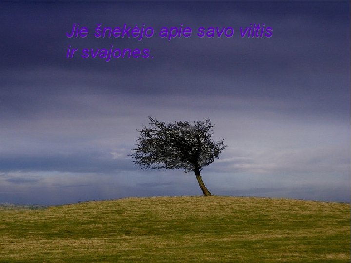 Jie šnekėjo apie savo viltis ir svajones. Music by : Nachtigall Serenade 