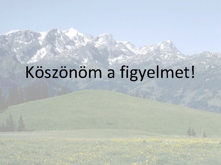 Köszönöm a figyelmet! 