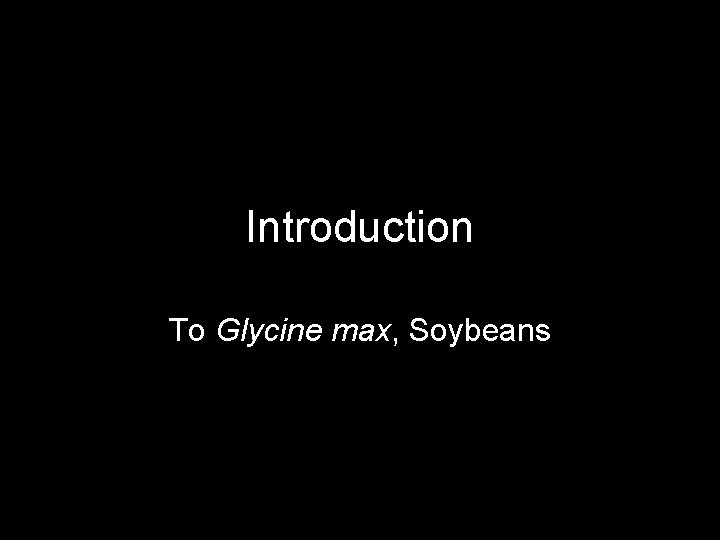 Introduction To Glycine max, Soybeans 