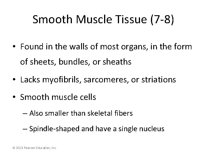Smooth Muscle Tissue (7 -8) • Found in the walls of most organs, in