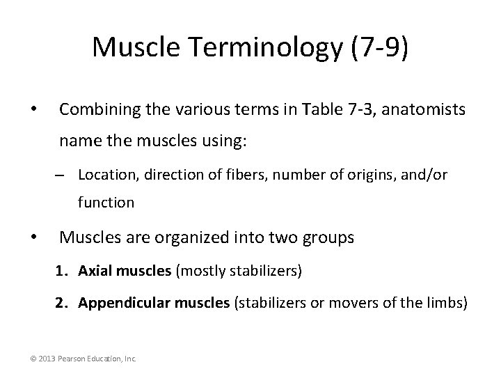 Muscle Terminology (7 -9) • Combining the various terms in Table 7 -3, anatomists