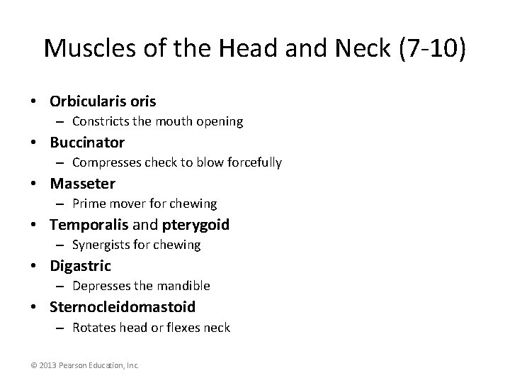 Muscles of the Head and Neck (7 -10) • Orbicularis oris – Constricts the