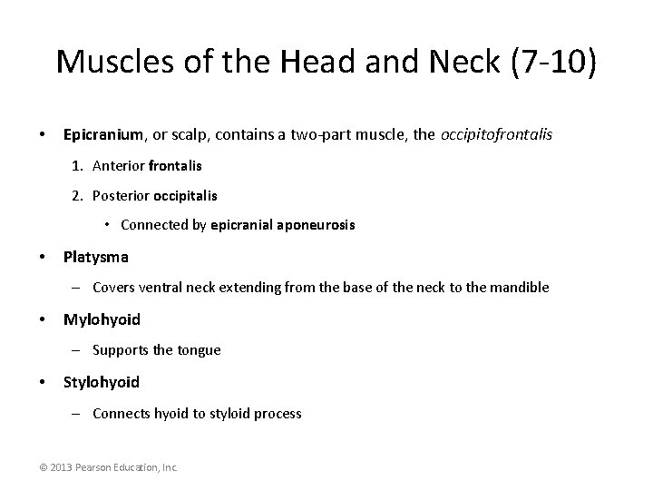 Muscles of the Head and Neck (7 -10) • Epicranium, or scalp, contains a