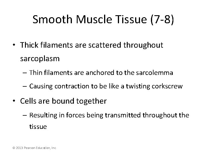 Smooth Muscle Tissue (7 -8) • Thick filaments are scattered throughout sarcoplasm – Thin