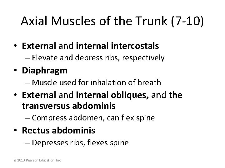 Axial Muscles of the Trunk (7 -10) • External and internal intercostals – Elevate