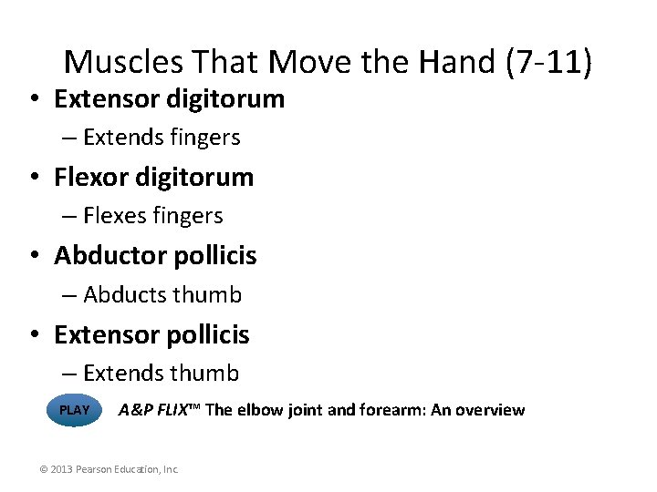 Muscles That Move the Hand (7 -11) • Extensor digitorum – Extends fingers •
