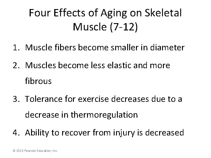 Four Effects of Aging on Skeletal Muscle (7 -12) 1. Muscle fibers become smaller