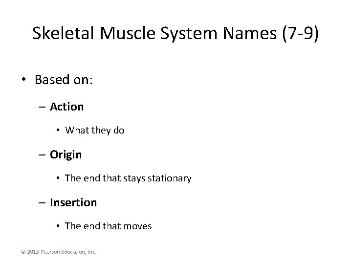 Skeletal Muscle System Names (7 -9) • Based on: – Action • What they