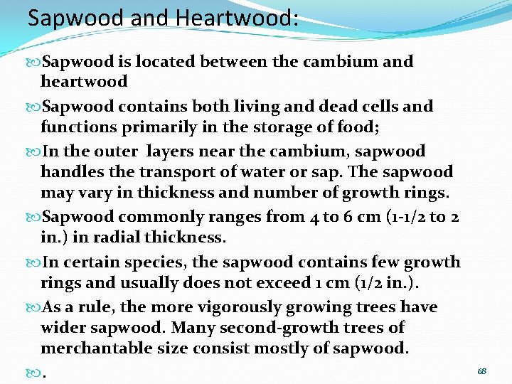 Sapwood and Heartwood: Sapwood is located between the cambium and heartwood Sapwood contains both