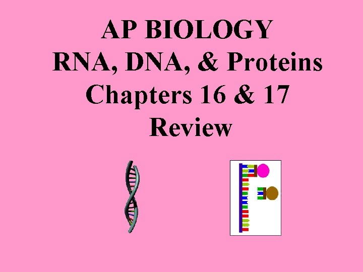 AP BIOLOGY RNA, DNA, & Proteins Chapters 16 & 17 Review 