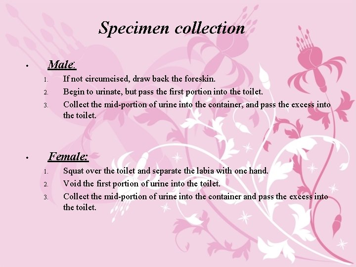 Specimen collection • Male: 1. 2. 3. • If not circumcised, draw back the