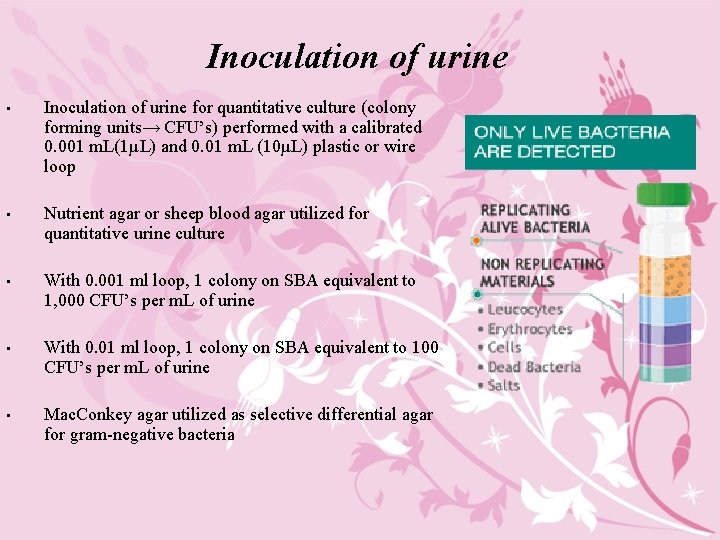 Inoculation of urine • Inoculation of urine for quantitative culture (colony forming units→ CFU’s)