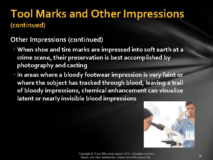 Tool Marks and Other Impressions (continued) • When shoe and tire marks are impressed