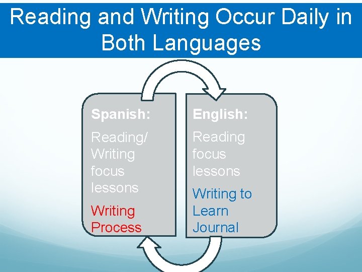 Reading and Writing Occur Daily in Both Languages Spanish: English: Reading/ Writing focus lessons Reading and Writing Occur Daily in Both Languages Spanish: English: Reading/ Writing focus lessons