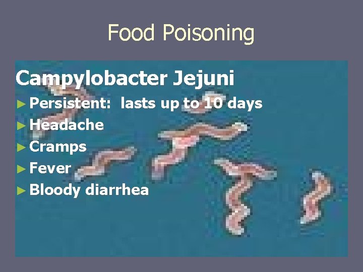 Food Poisoning Campylobacter Jejuni ► Persistent: lasts up to 10 days ► Headache ►