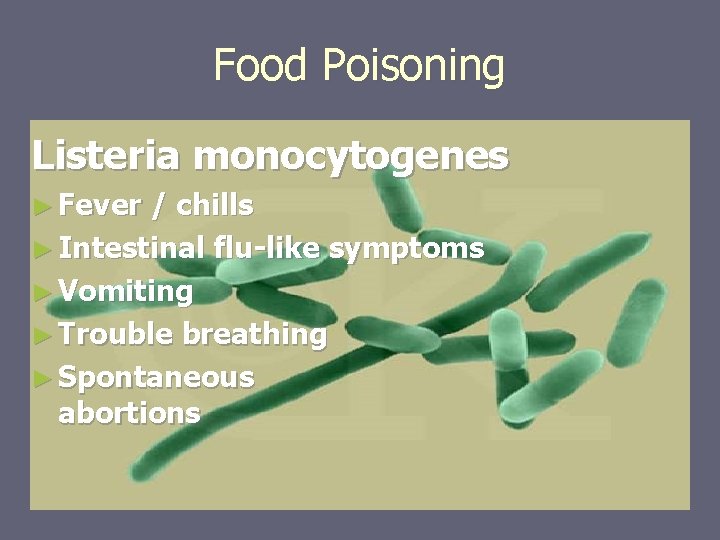 Food Poisoning Listeria monocytogenes ► Fever / chills ► Intestinal flu-like symptoms ► Vomiting