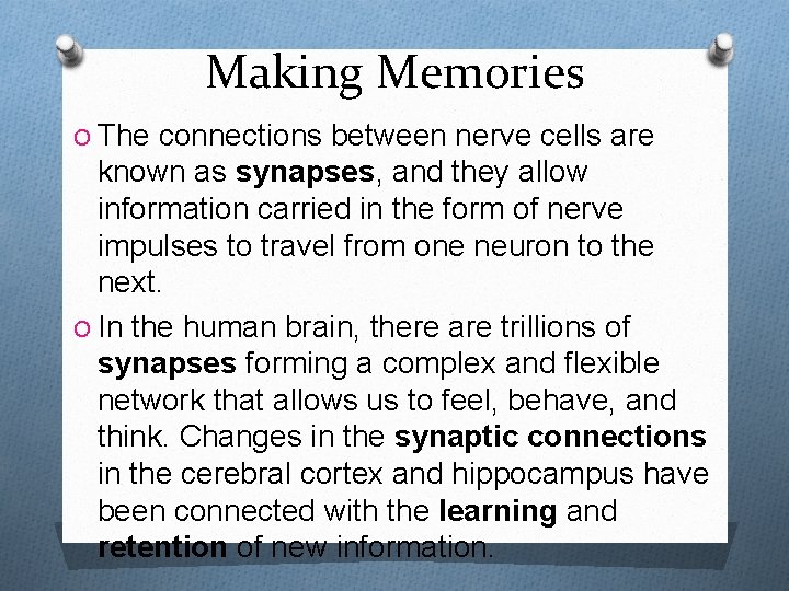 Making Memories O The connections between nerve cells are known as synapses, and they